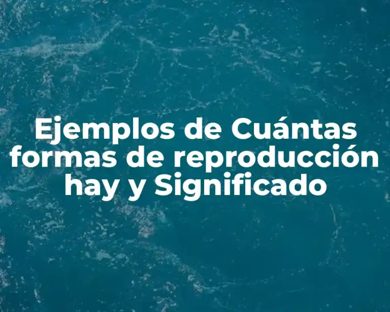 Ejemplos de Cuántas formas de reproducción hay y Significado