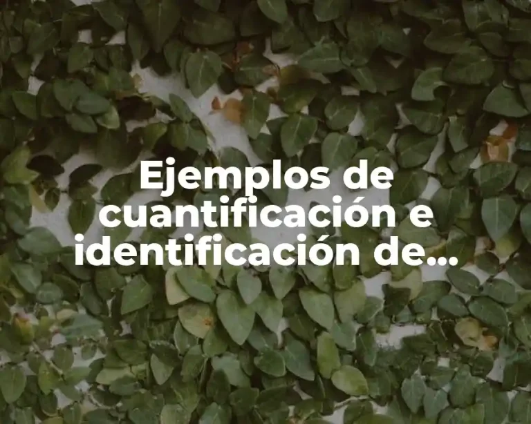 Ejemplos de cuantificación e identificación de microorganismos