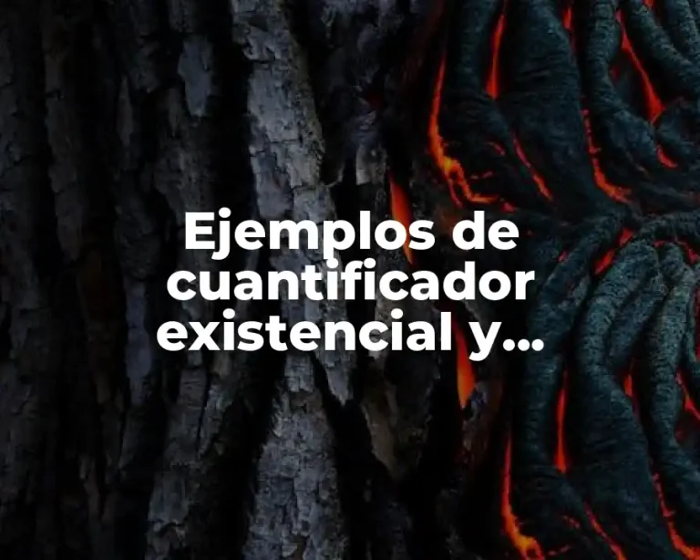 Ejemplos de cuantificador existencial y Significado
