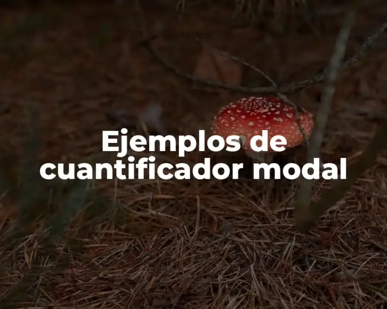 Ejemplos de cuantificador modal