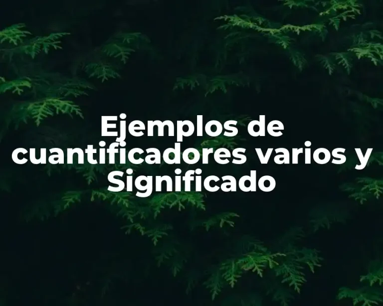 Ejemplos de cuantificadores varios y Significado