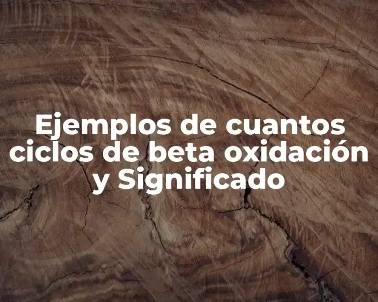 Ejemplos de cuantos ciclos de beta oxidación y Significado