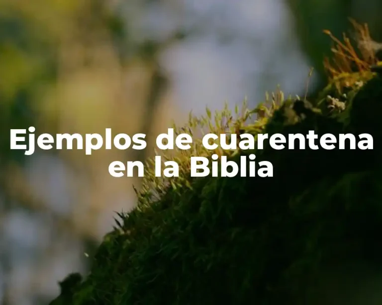 Ejemplos de cuarentena en la Biblia