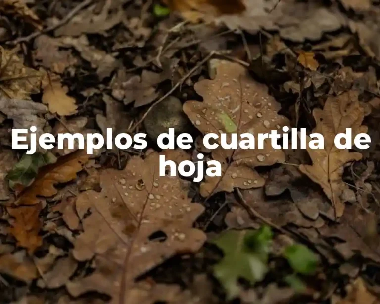 Ejemplos de cuartilla de hoja