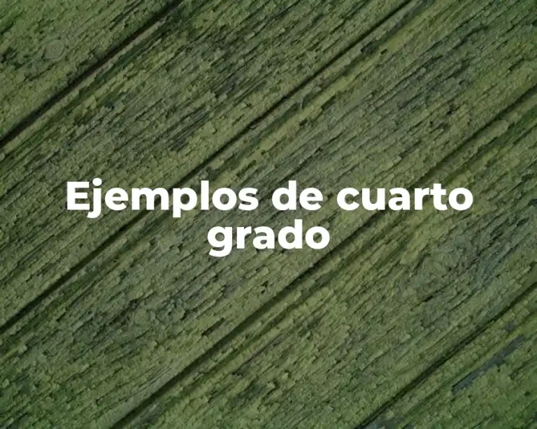 Ejemplos de cuarto grado
