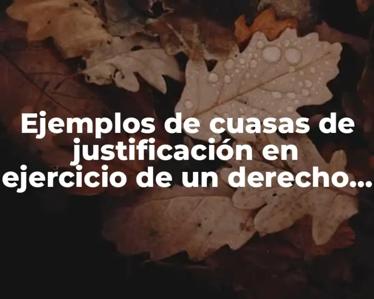 Ejemplos de cuasas de justificación en ejercicio de un derecho y Significado