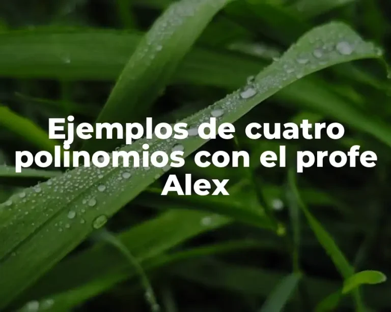 Ejemplos de cuatro polinomios con el profe Alex