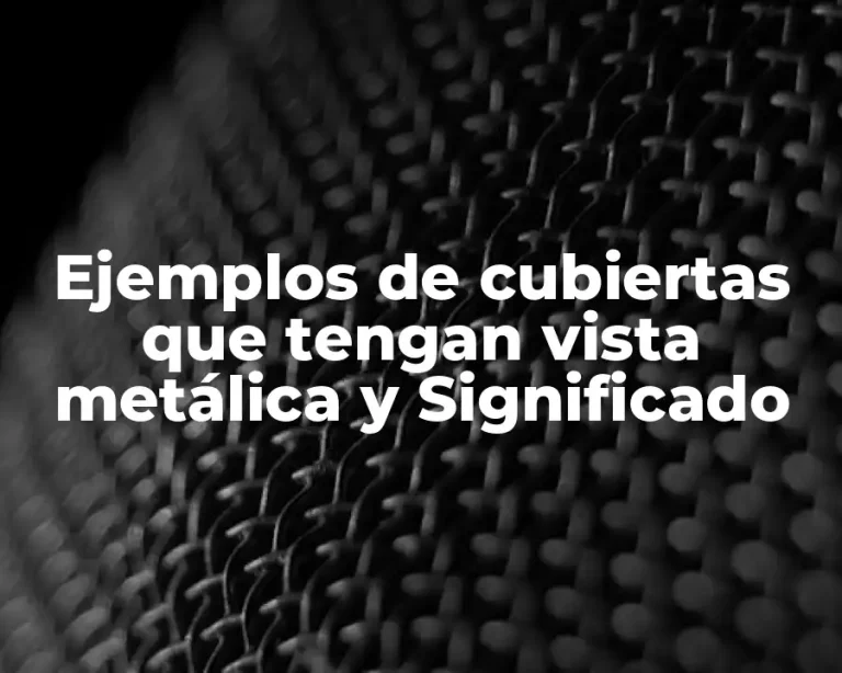Ejemplos de cubiertas que tengan vista metálica y Significado