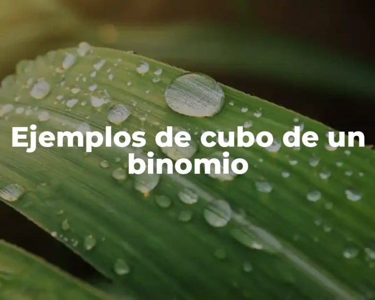 Ejemplos de cubo de un binomio