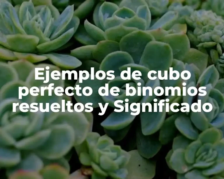 Ejemplos de cubo perfecto de binomios resueltos y Significado