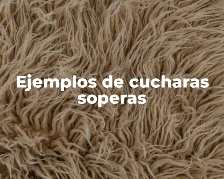Ejemplos de cucharas soperas