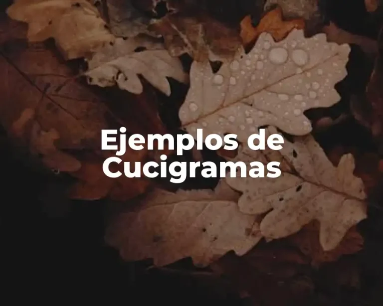 Ejemplos de Cucigramas
