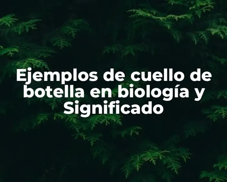 Ejemplos de cuello de botella en biología y Significado