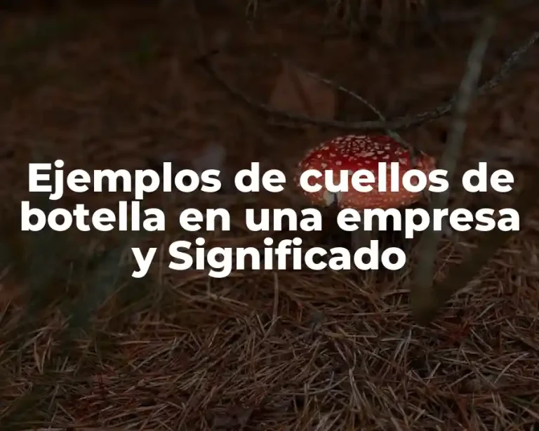 Ejemplos de cuellos de botella en una empresa y Significado