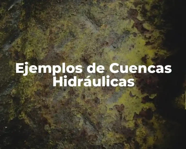 Ejemplos de Cuencas Hidráulicas
