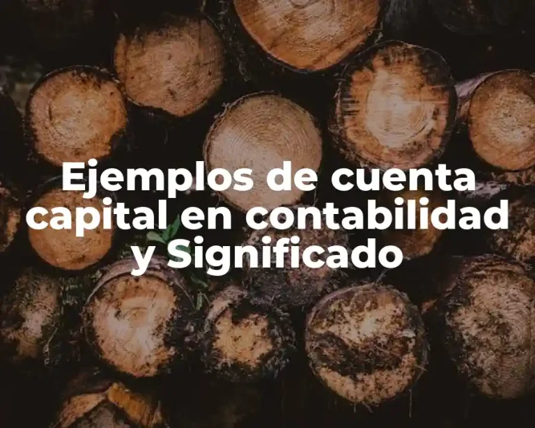 Ejemplos de cuenta capital en contabilidad y Significado