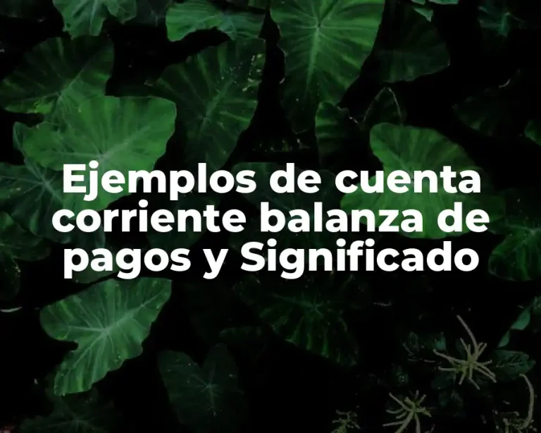 Ejemplos de cuenta corriente balanza de pagos y Significado