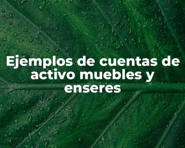 Ejemplos de cuentas de activo muebles y enseres