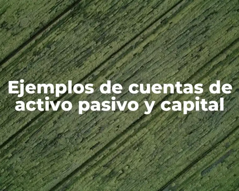 Ejemplos de cuentas de activo pasivo y capital