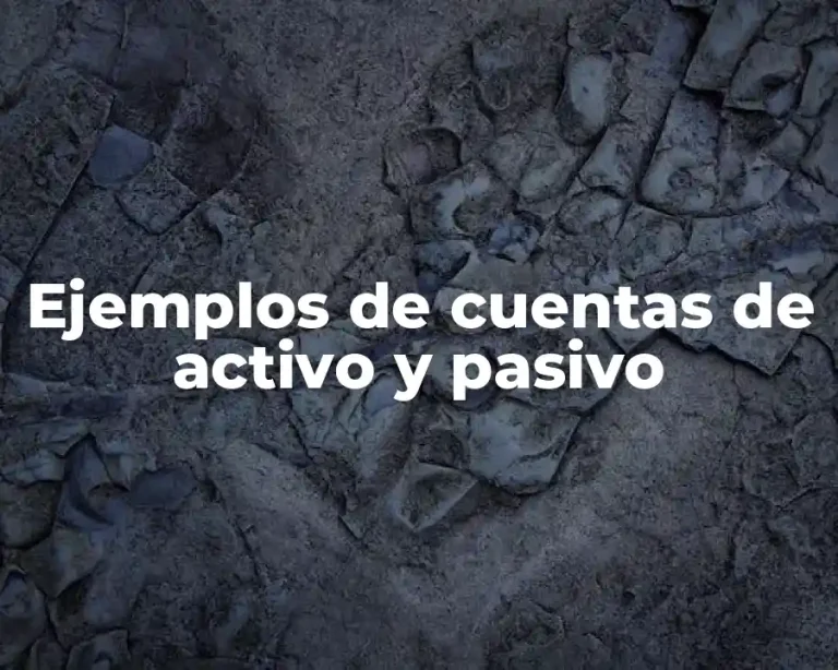 Ejemplos de cuentas de activo y pasivo