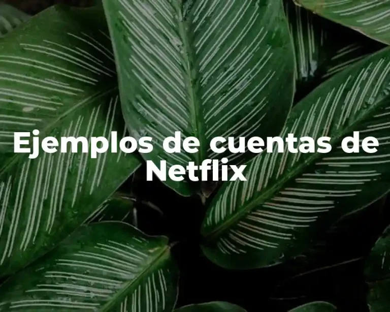 Ejemplos de cuentas de Netflix