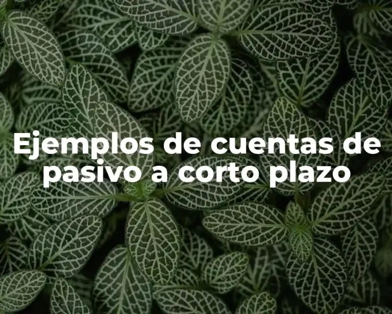 Ejemplos de cuentas de pasivo a corto plazo