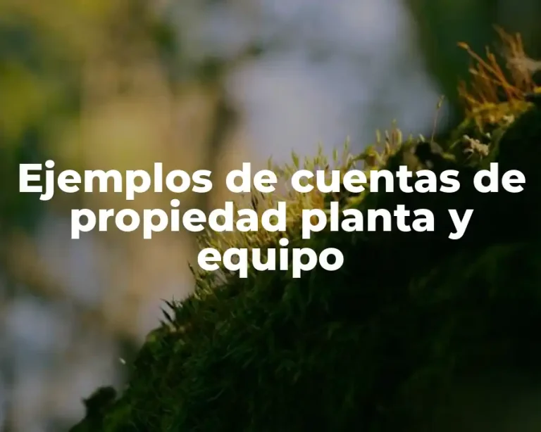Ejemplos de cuentas de propiedad planta y equipo