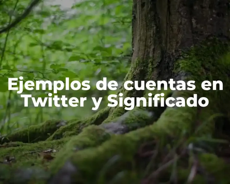 Ejemplos de cuentas en Twitter y Significado