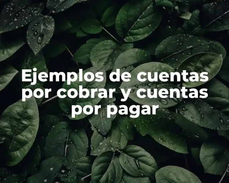 Ejemplos de cuentas por cobrar y cuentas por pagar