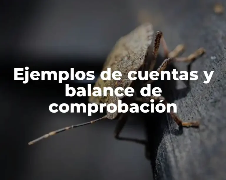 Ejemplos de cuentas y balance de comprobación