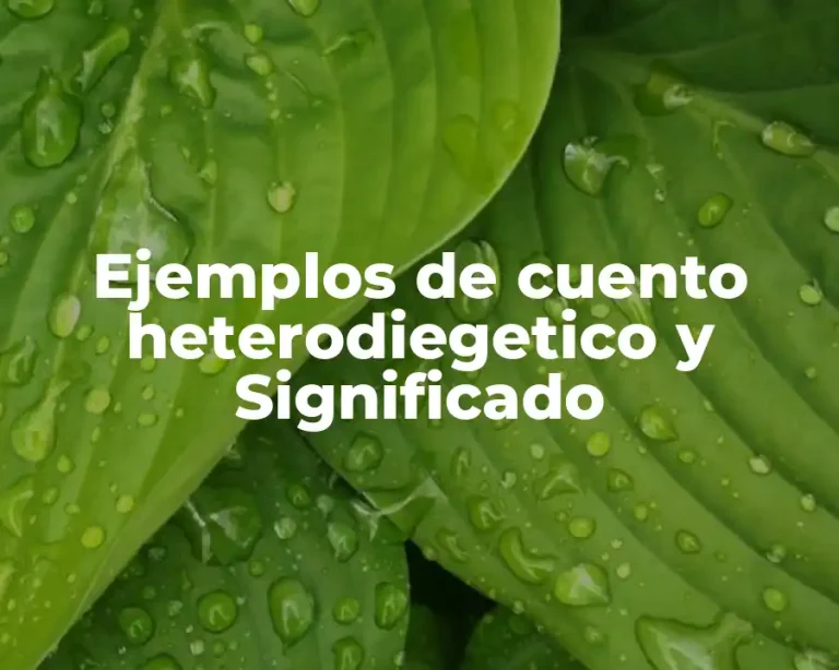 Ejemplos de cuento heterodiegetico y Significado