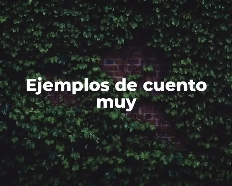 Ejemplos de cuento muy