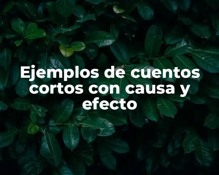 Ejemplos de cuentos cortos con causa y efecto
