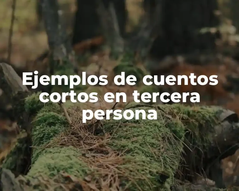 Ejemplos de cuentos cortos en tercera persona