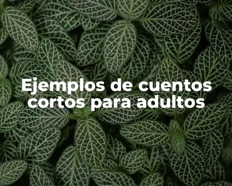 Ejemplos de cuentos cortos para adultos