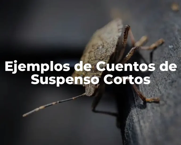 Ejemplos de Cuentos de Suspenso Cortos