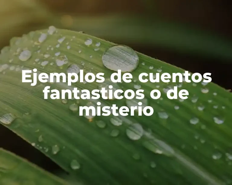 Ejemplos de cuentos fantasticos o de misterio