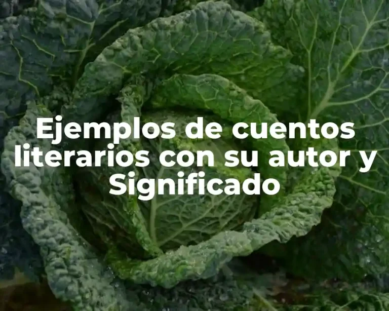 Ejemplos de cuentos literarios con su autor y Significado