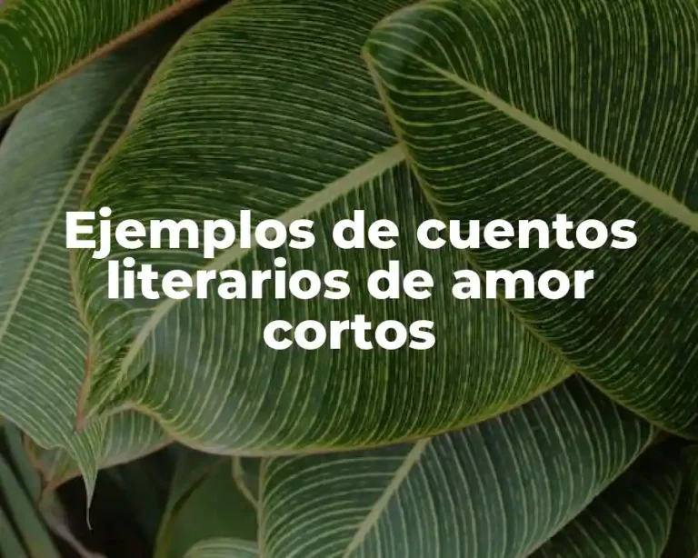 Ejemplos de cuentos literarios de amor cortos