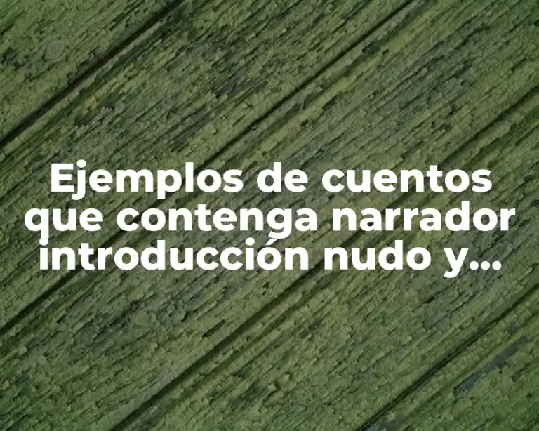 Ejemplos de cuentos que contenga narrador introducción nudo y desenlace