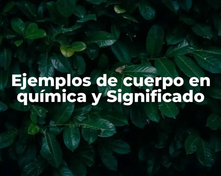 Ejemplos de cuerpo en química y Significado