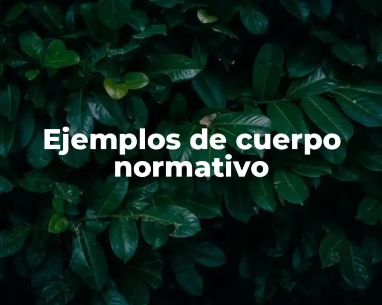 Ejemplos de cuerpo normativo