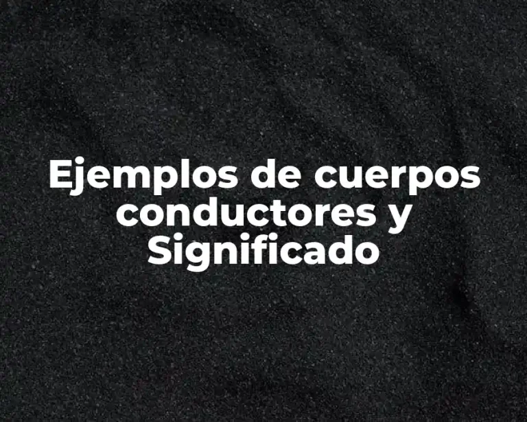 Ejemplos de cuerpos conductores y Significado