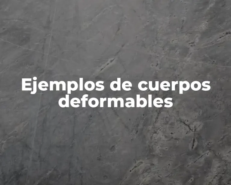Ejemplos de cuerpos deformables