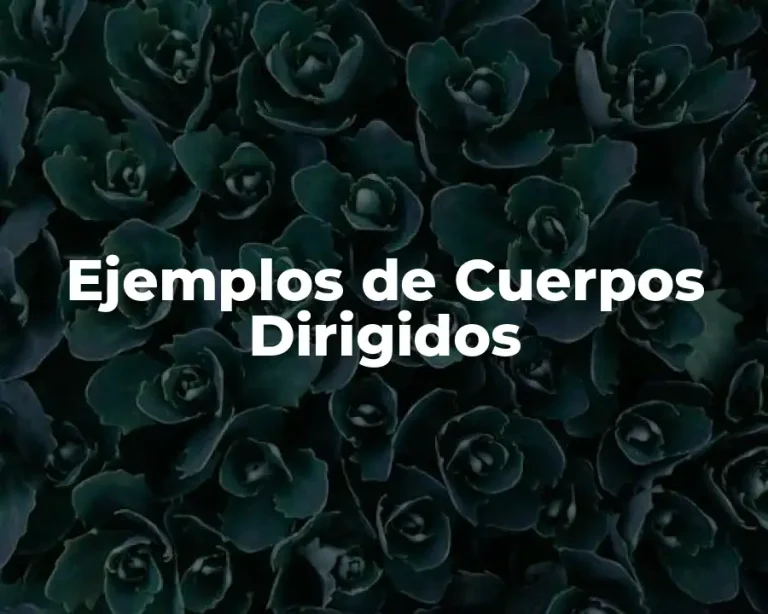 Ejemplos de Cuerpos Dirigidos