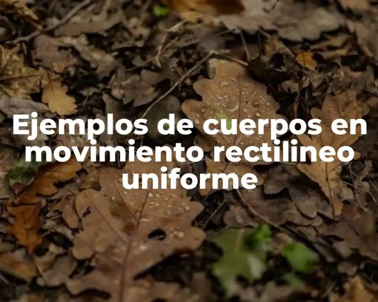 Ejemplos de cuerpos en movimiento rectilineo uniforme