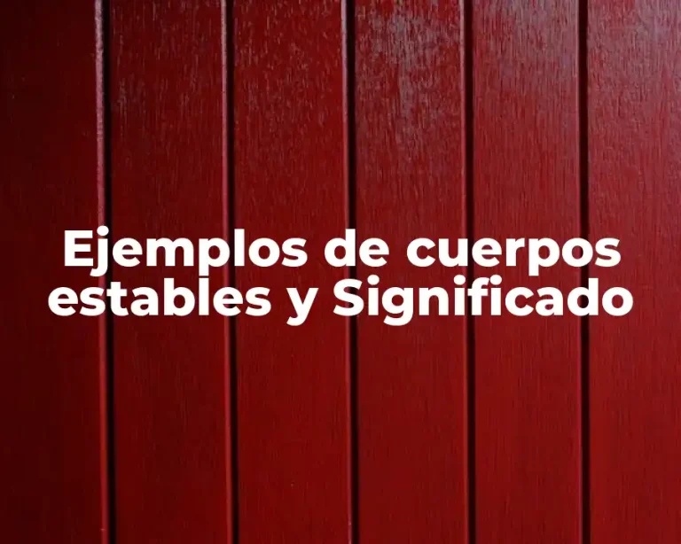 Ejemplos de cuerpos estables y Significado