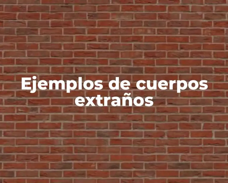 Ejemplos de cuerpos extraños