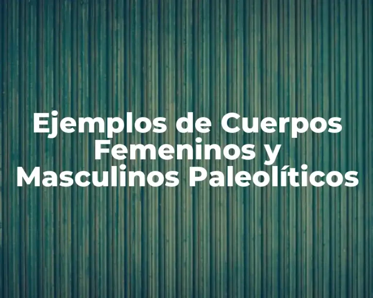 Ejemplos de Cuerpos Femeninos y Masculinos Paleolíticos