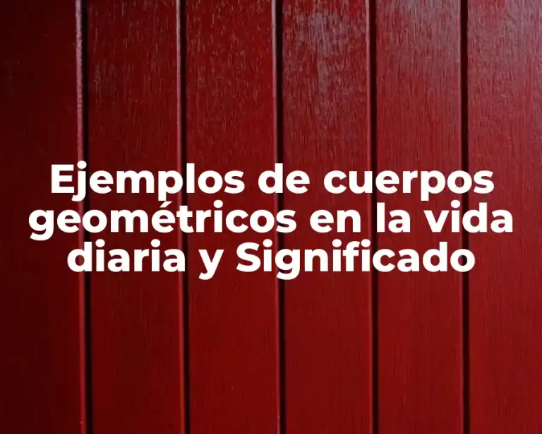 Ejemplos de cuerpos geométricos en la vida diaria y Significado